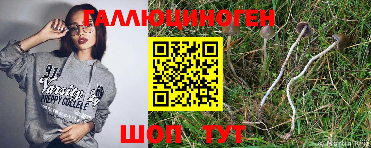 Галлюциногенные грибы мицелий  Вход с VPN  Гусиноозёрск 
